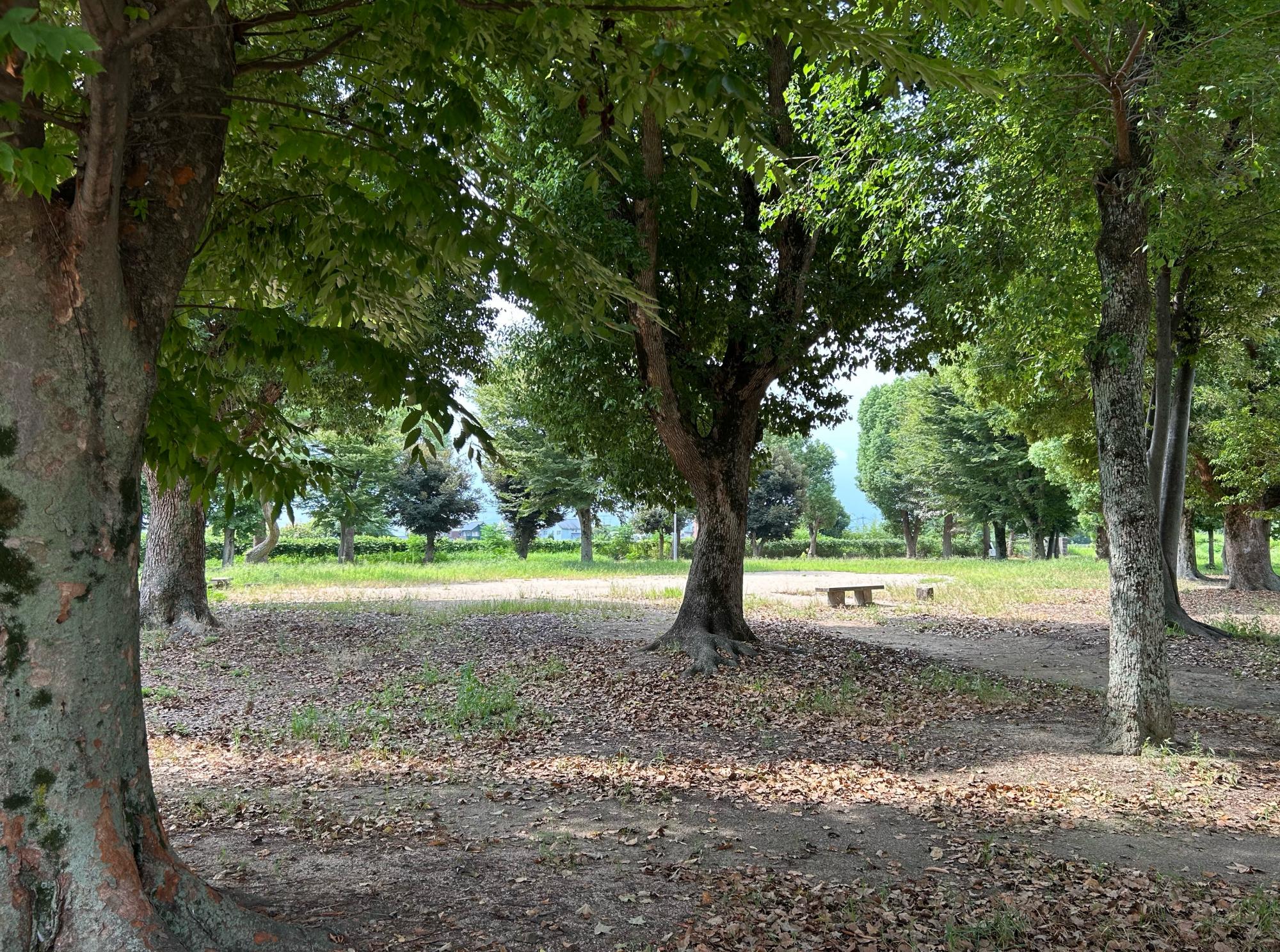 当新田公園