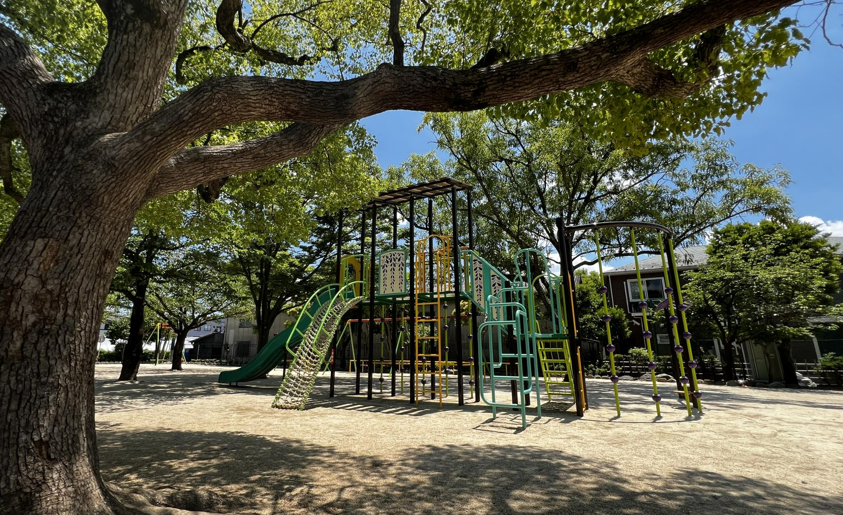 松本ふじの花公園