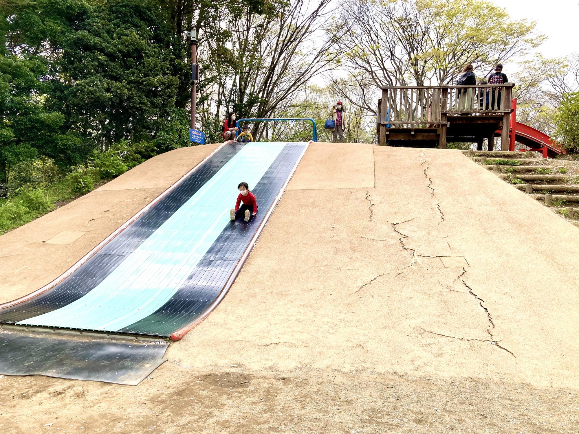 国営昭和記念公園