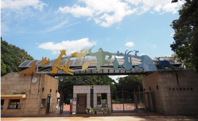 千葉市動物公園