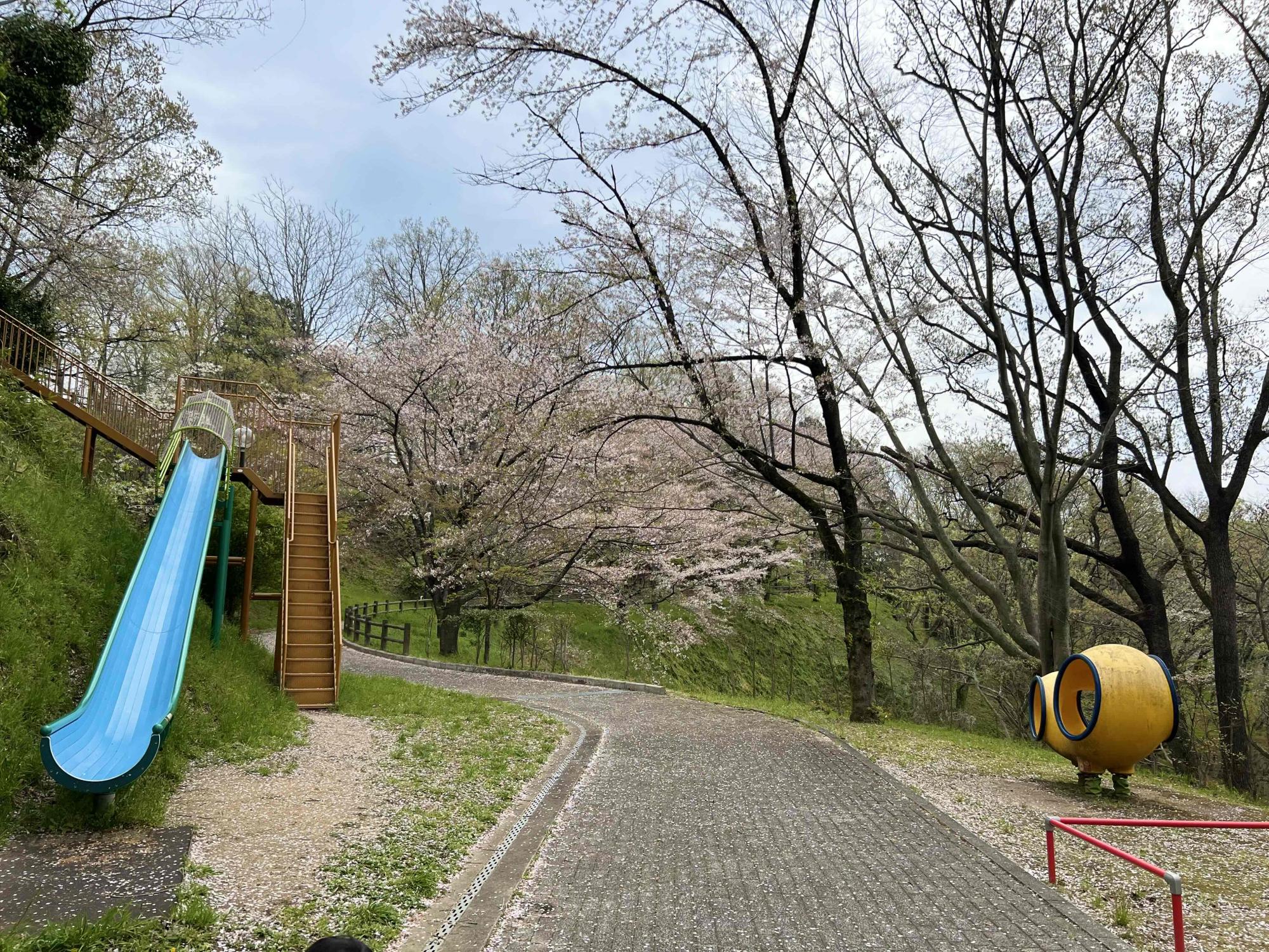 弁天山公園