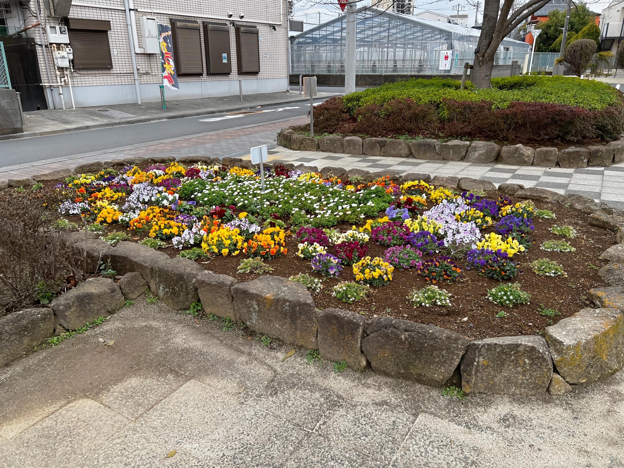 本一色さくら公園