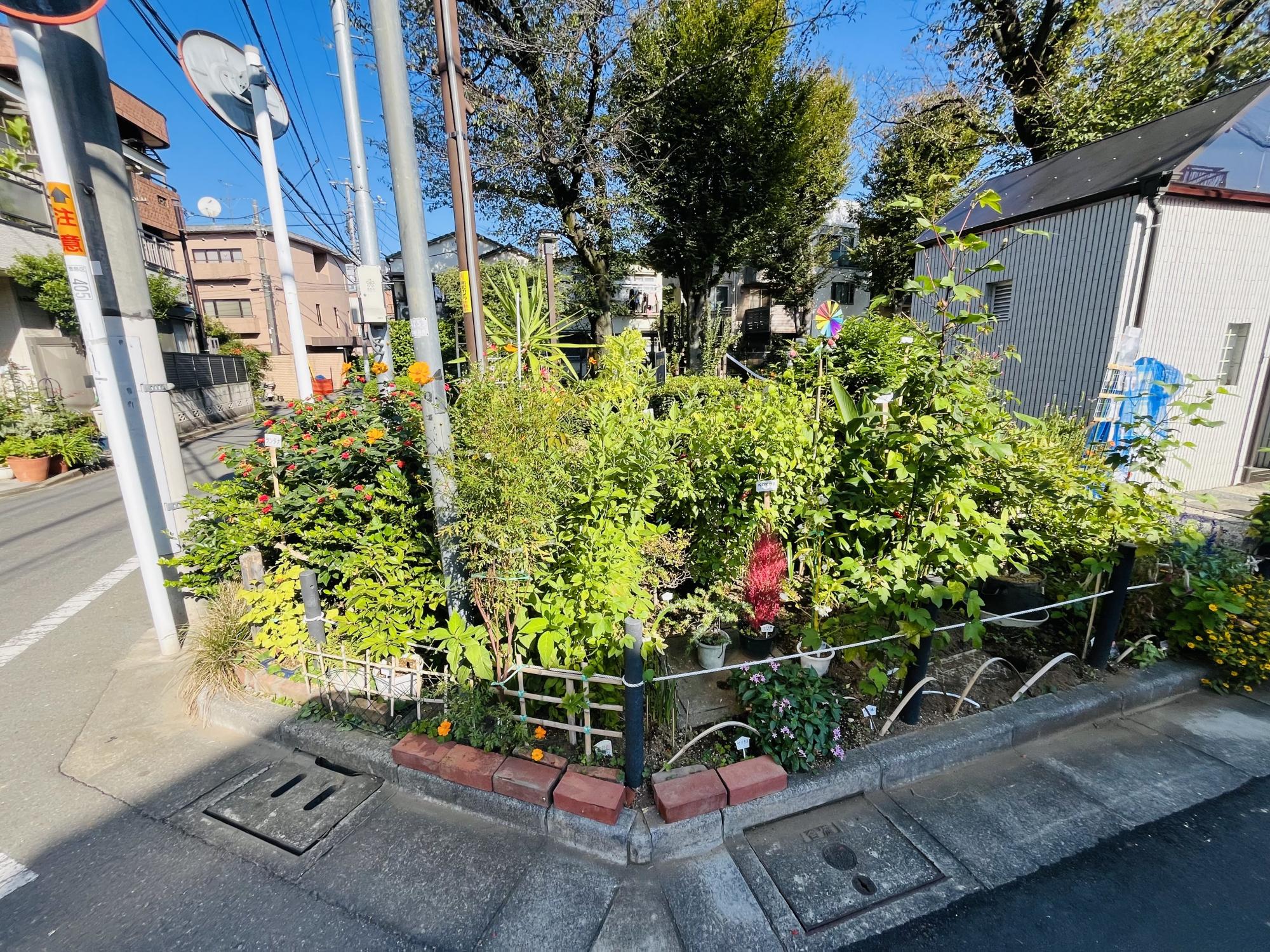 雑司が谷一丁目公園