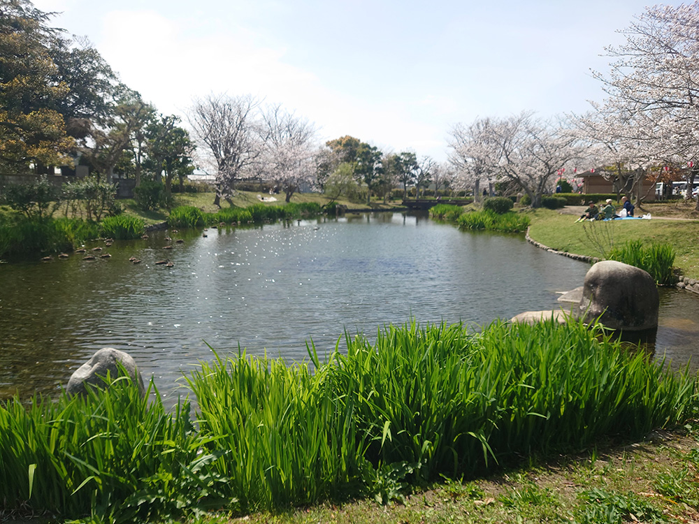 ひょこたん池公園
