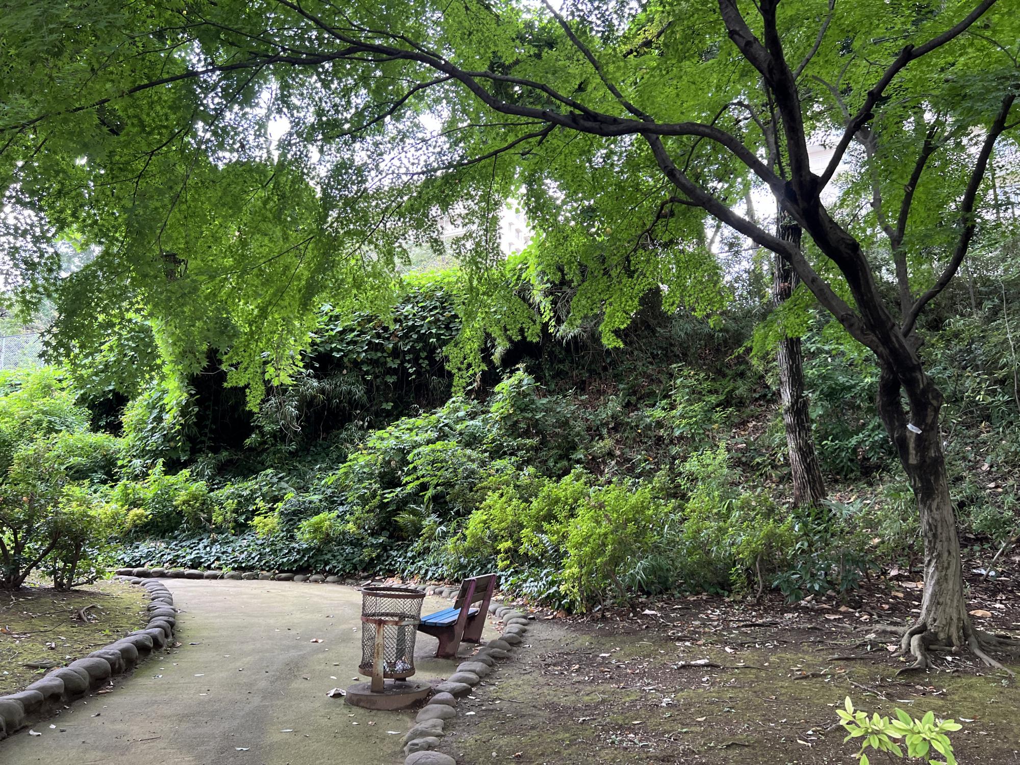 中台しいのき公園