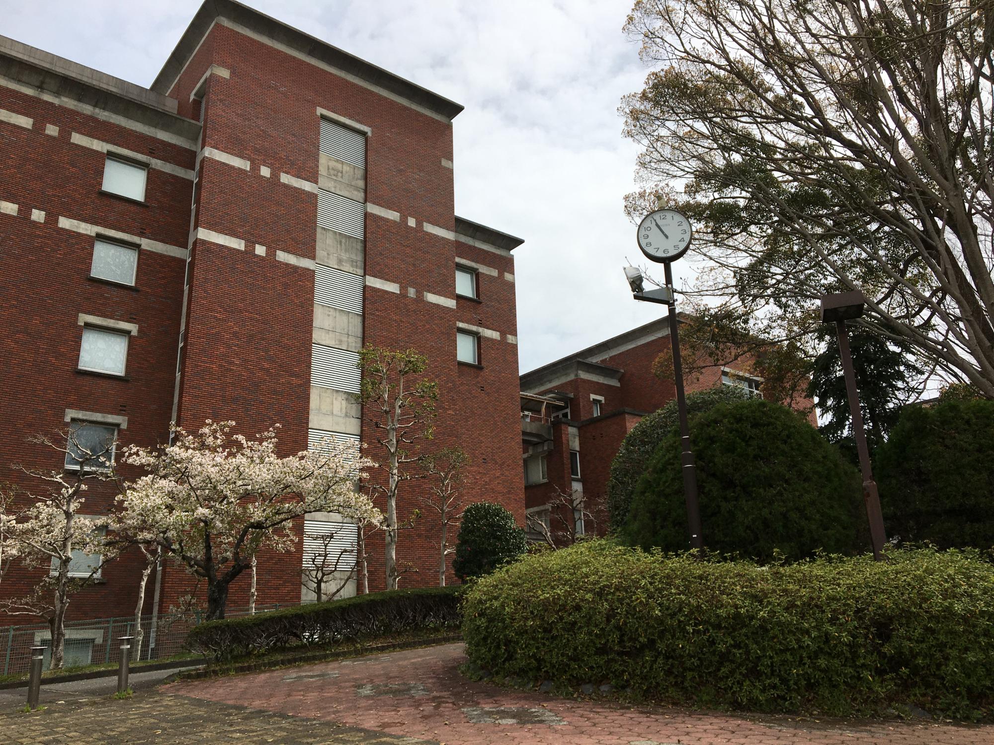県立大学広場
