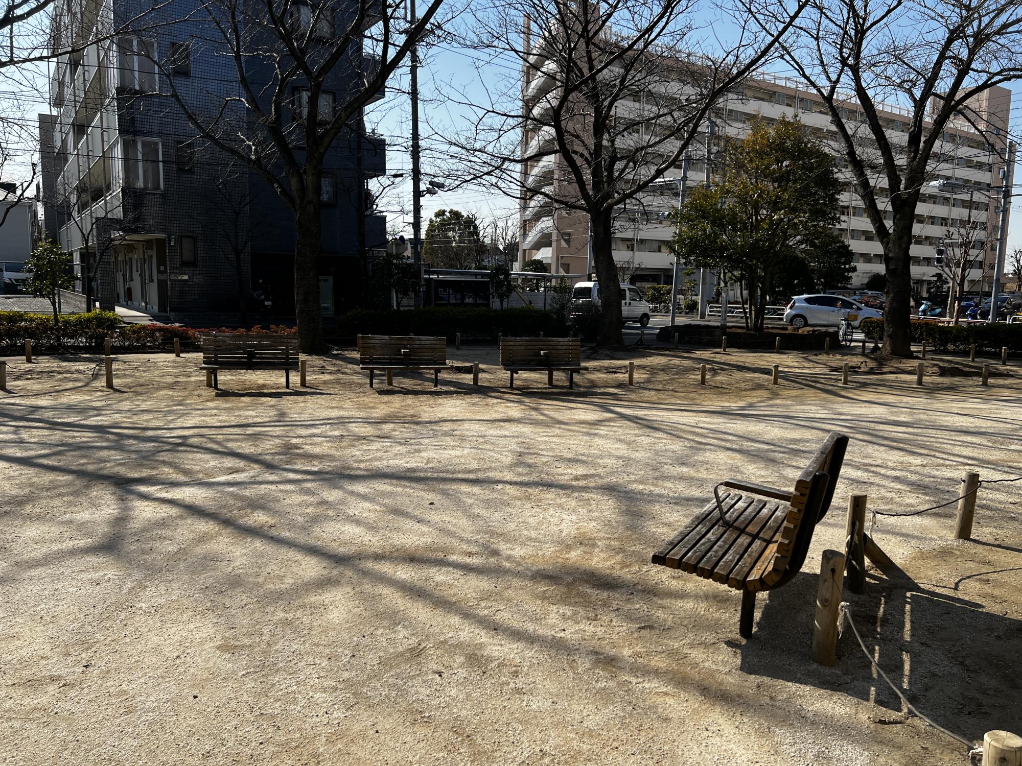 春江ツバキ公園