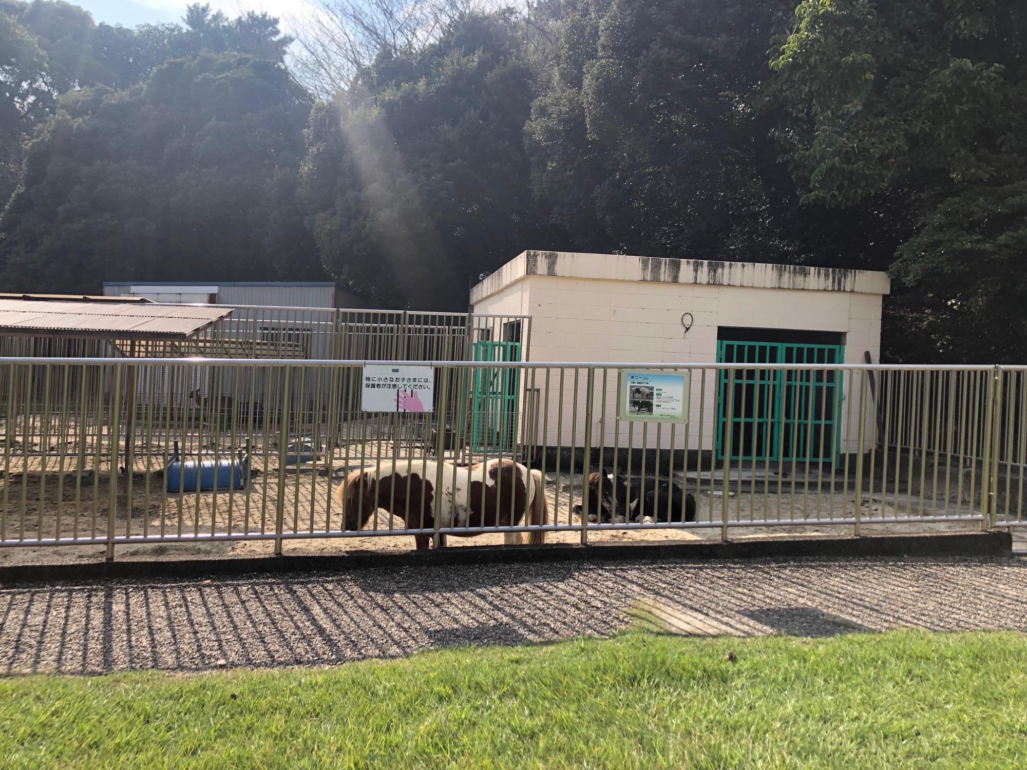 大池公園