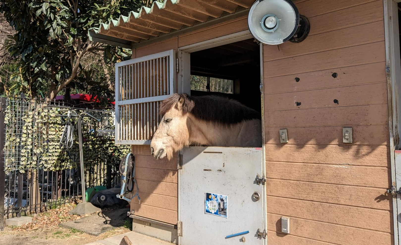 代々木ポニー公園