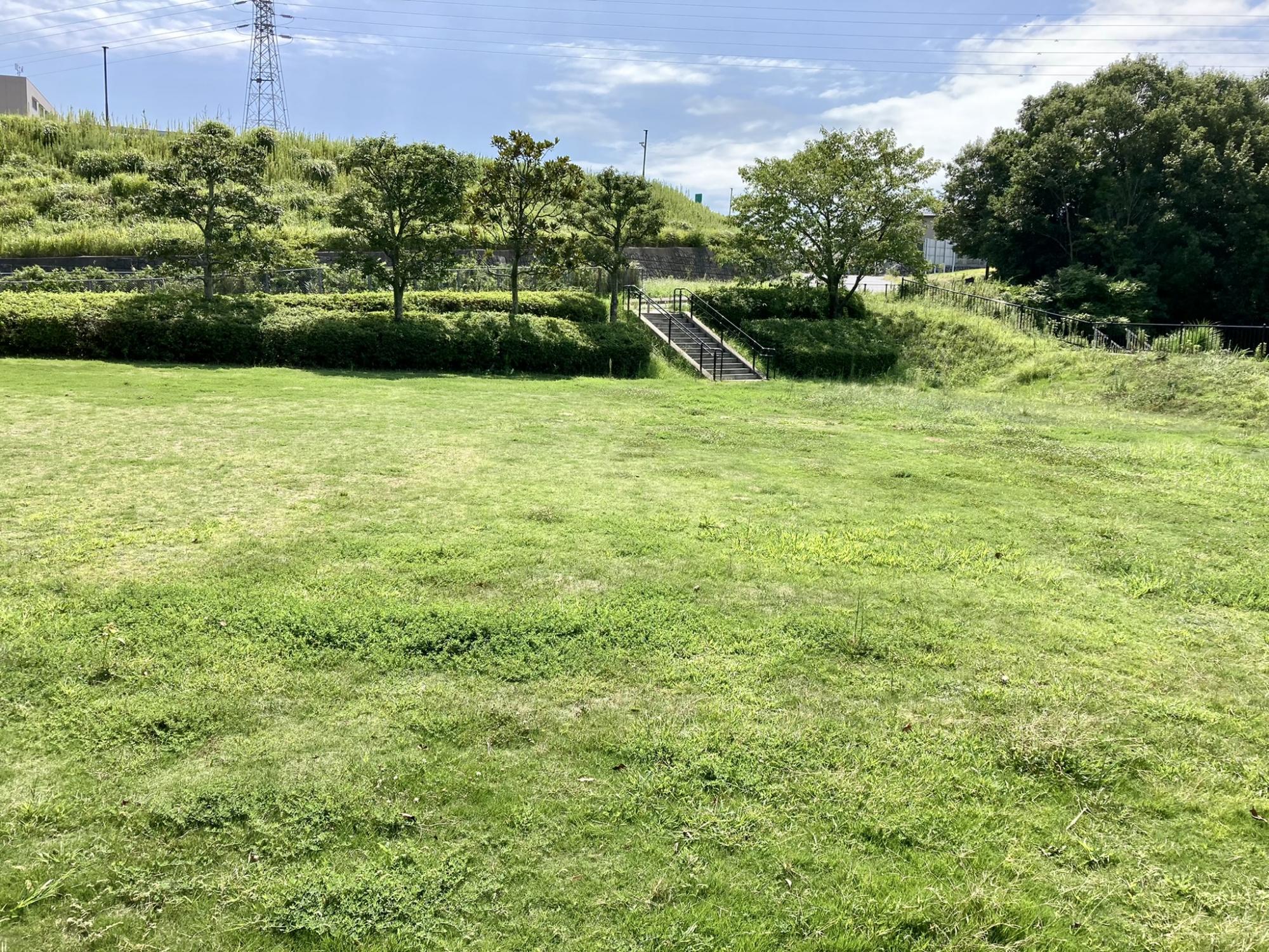 百合が丘公園・百合が丘北街区公園