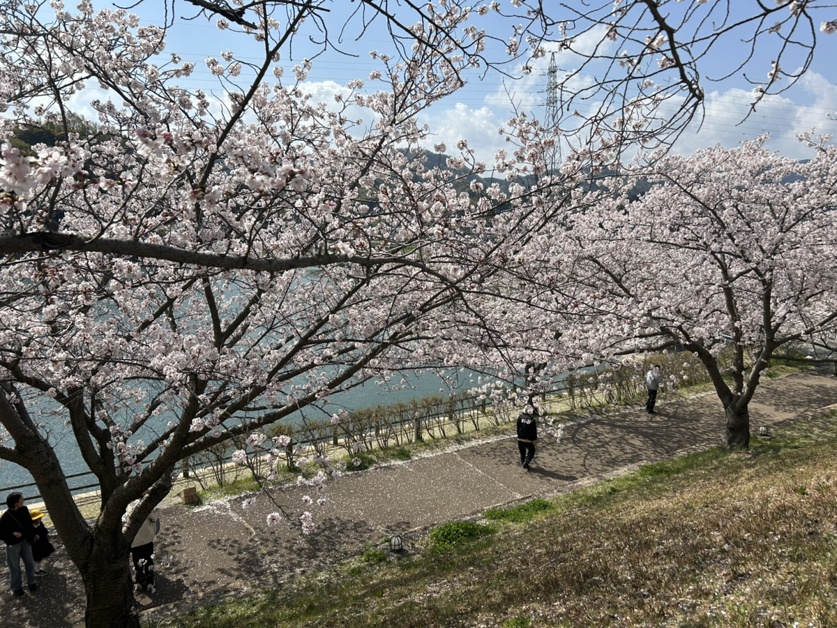 藤山健康文化公園