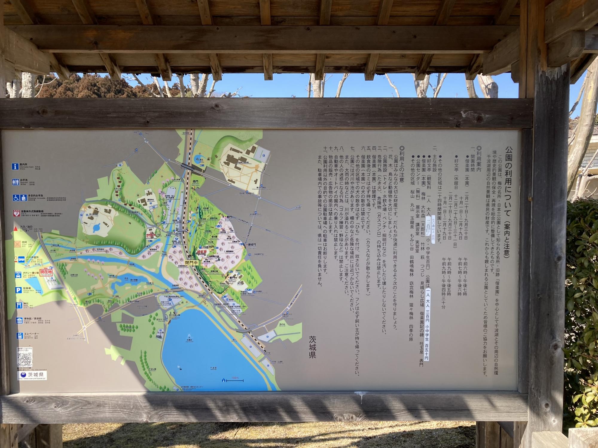 偕楽園公園 四季の原(桜川駐車場周辺)