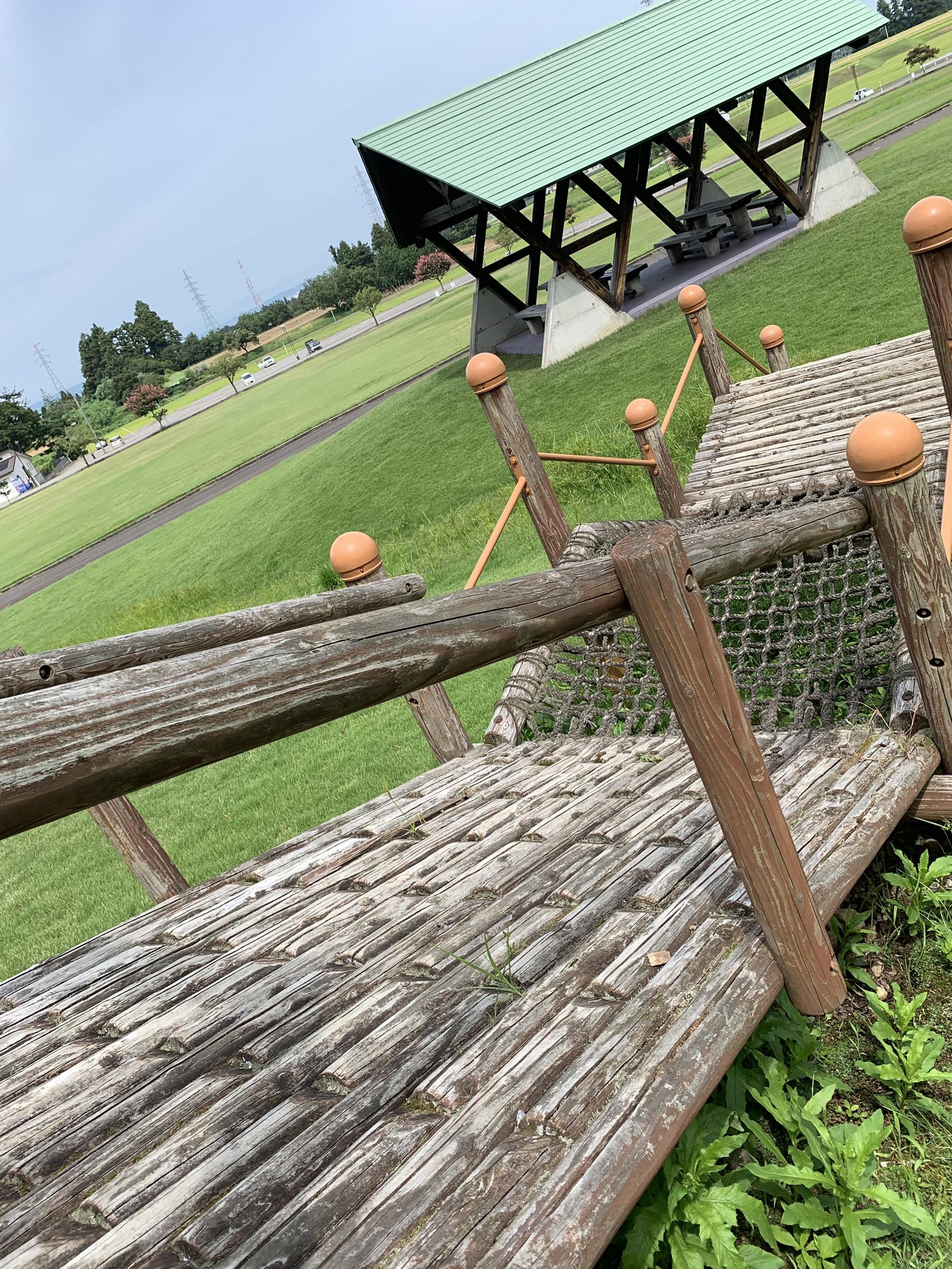 富山 公園｜猿倉山森林公園