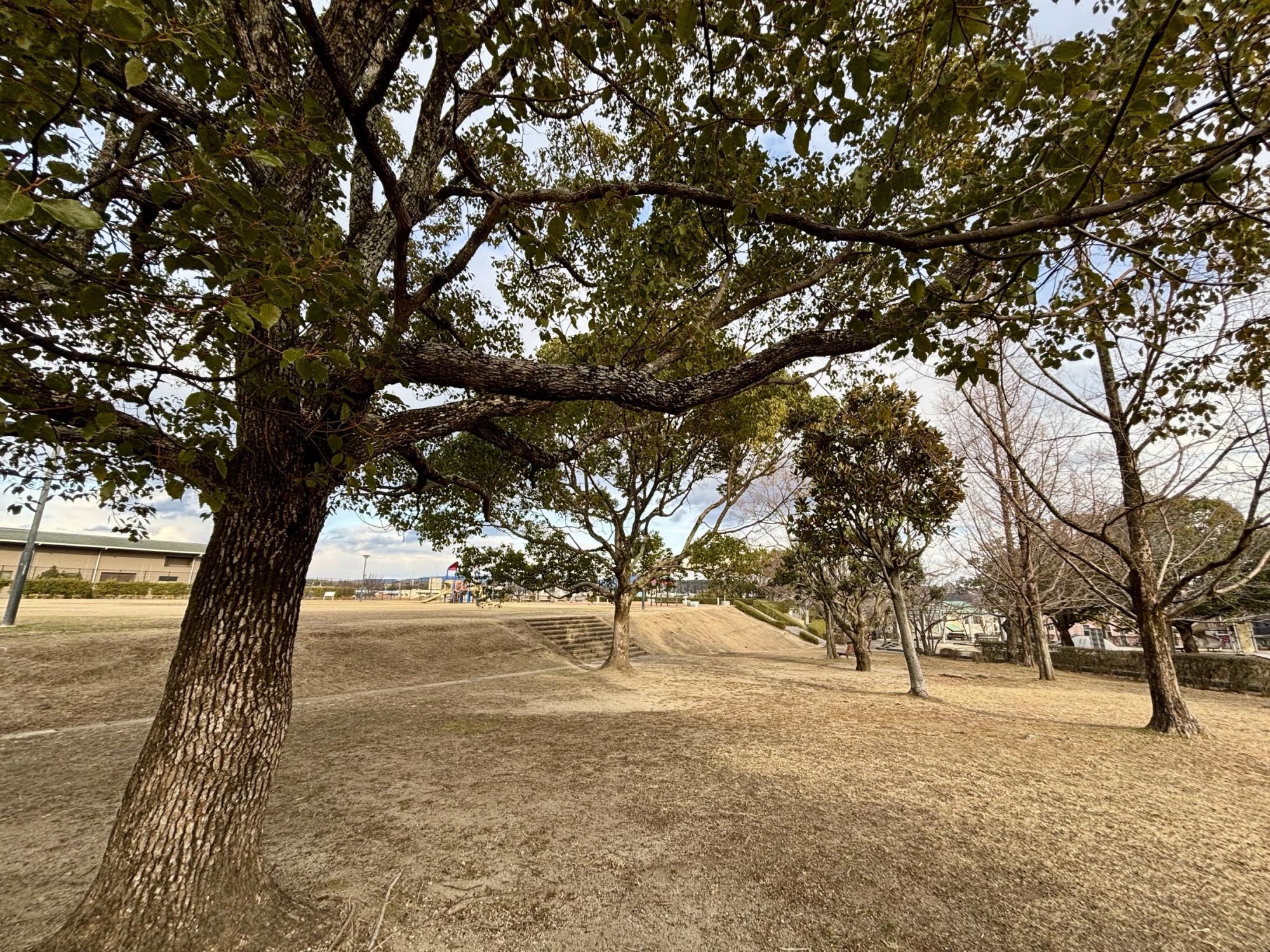 桧ケ根公園