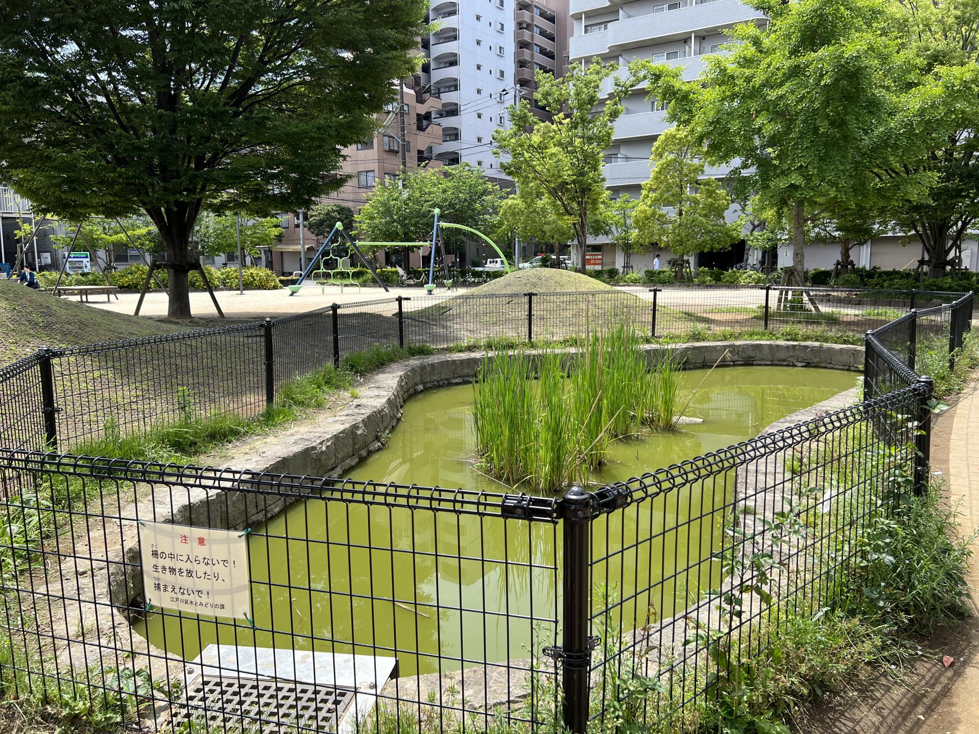 仲町（なかちょう）公園