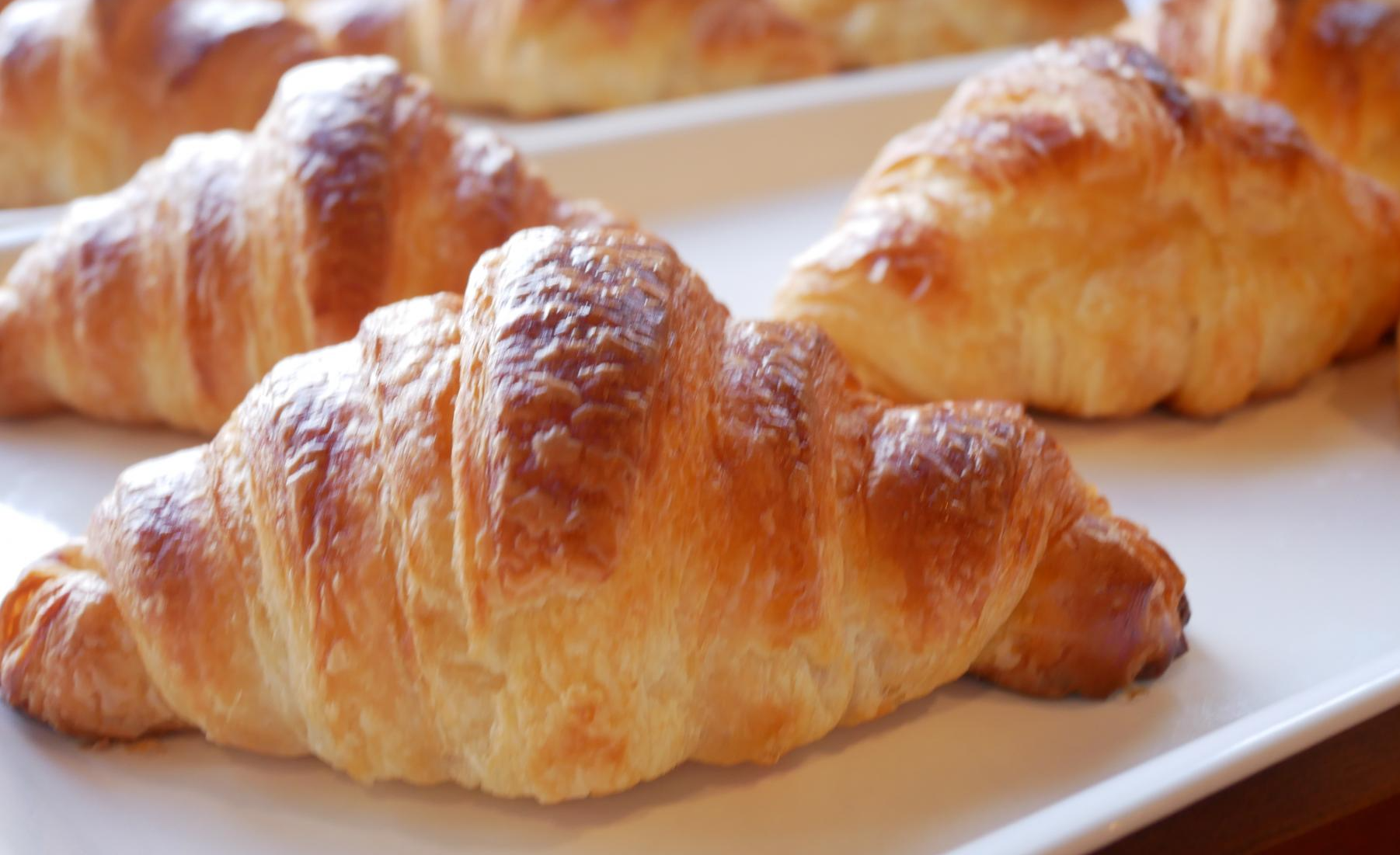 パンとピエルロ