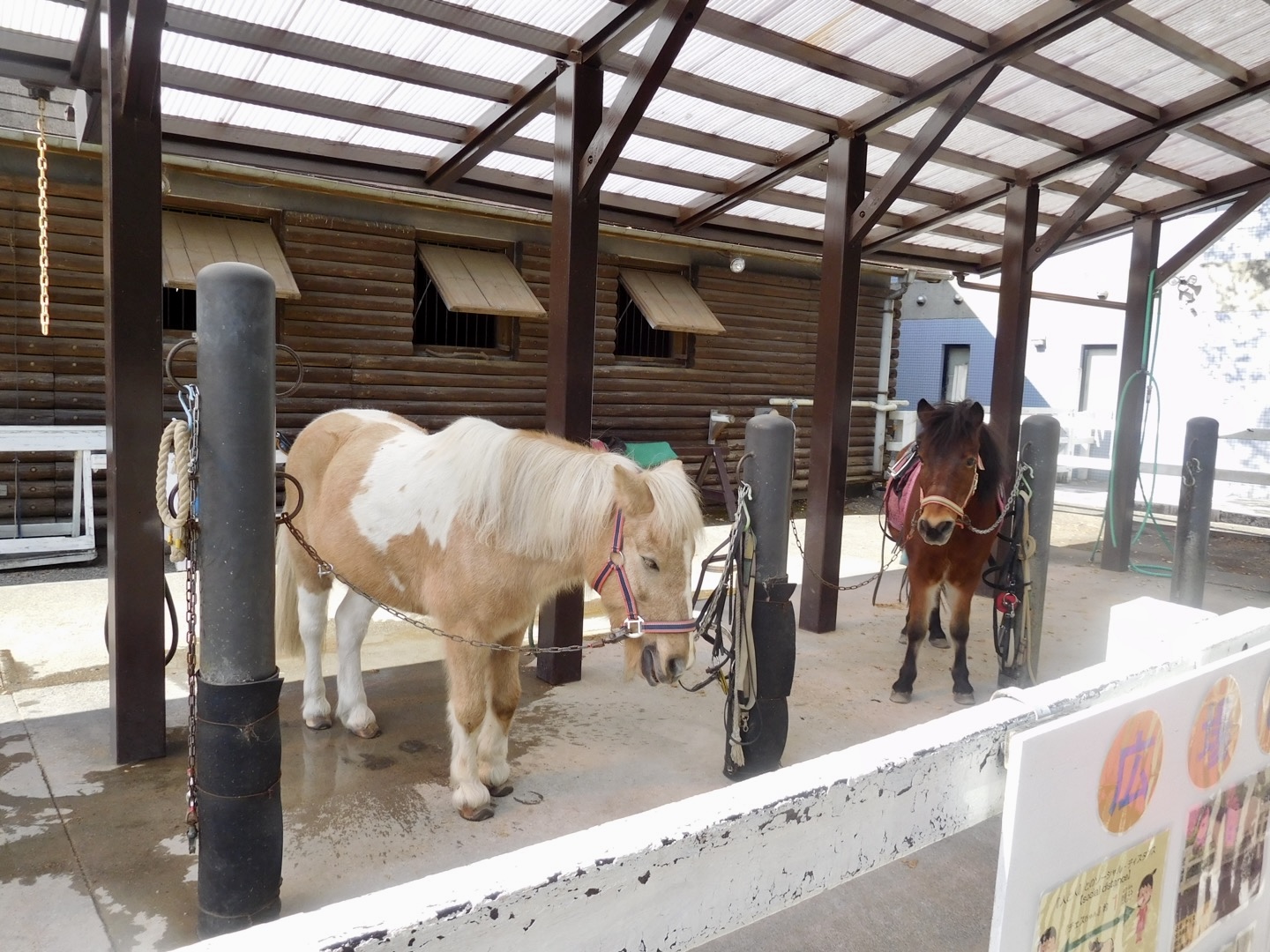 相模原麻溝公園