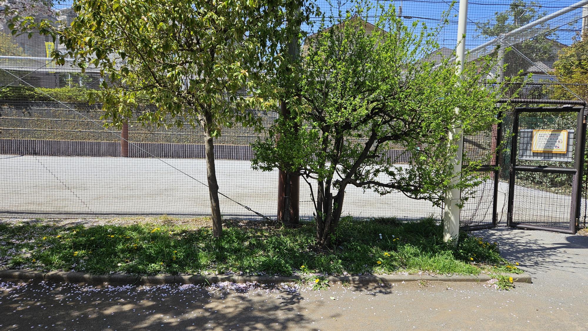 北馬込わくわく公園