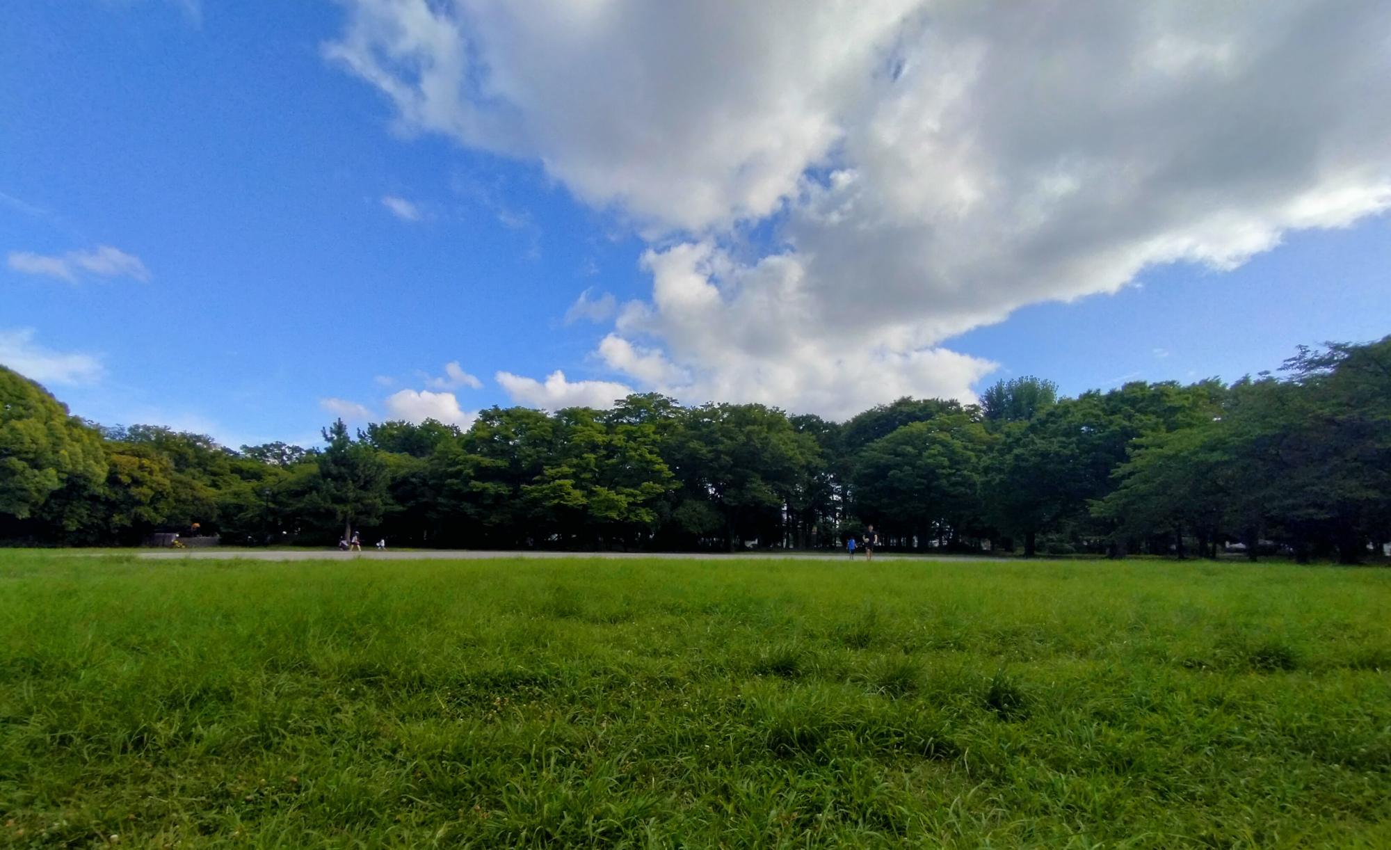 清澄公園