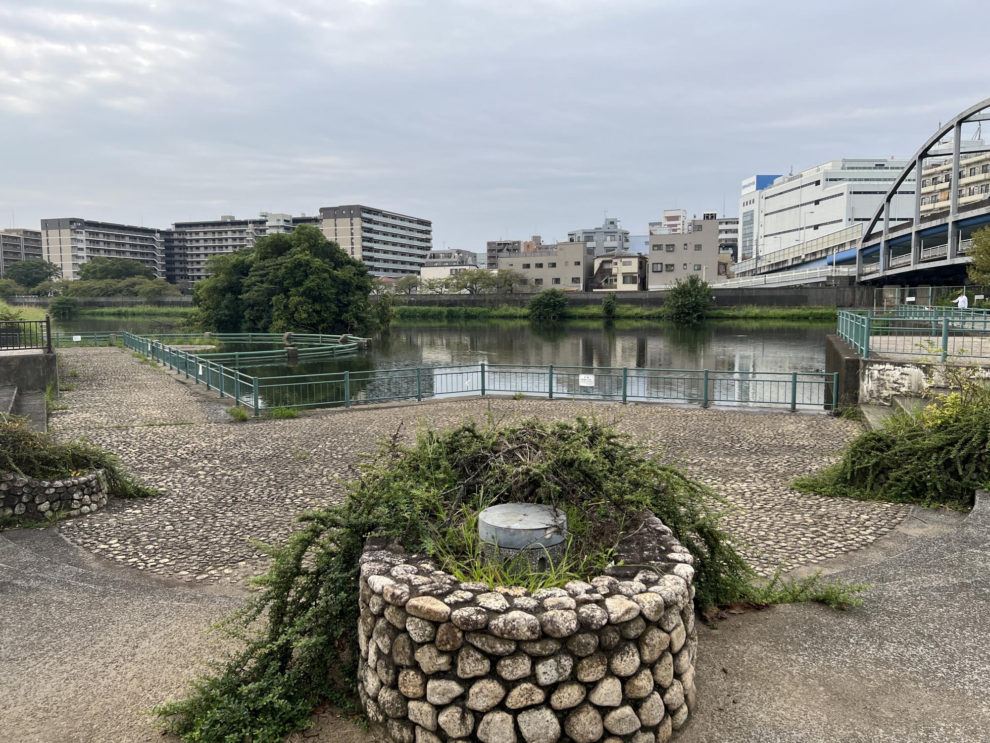 板橋区立舟渡水辺公園