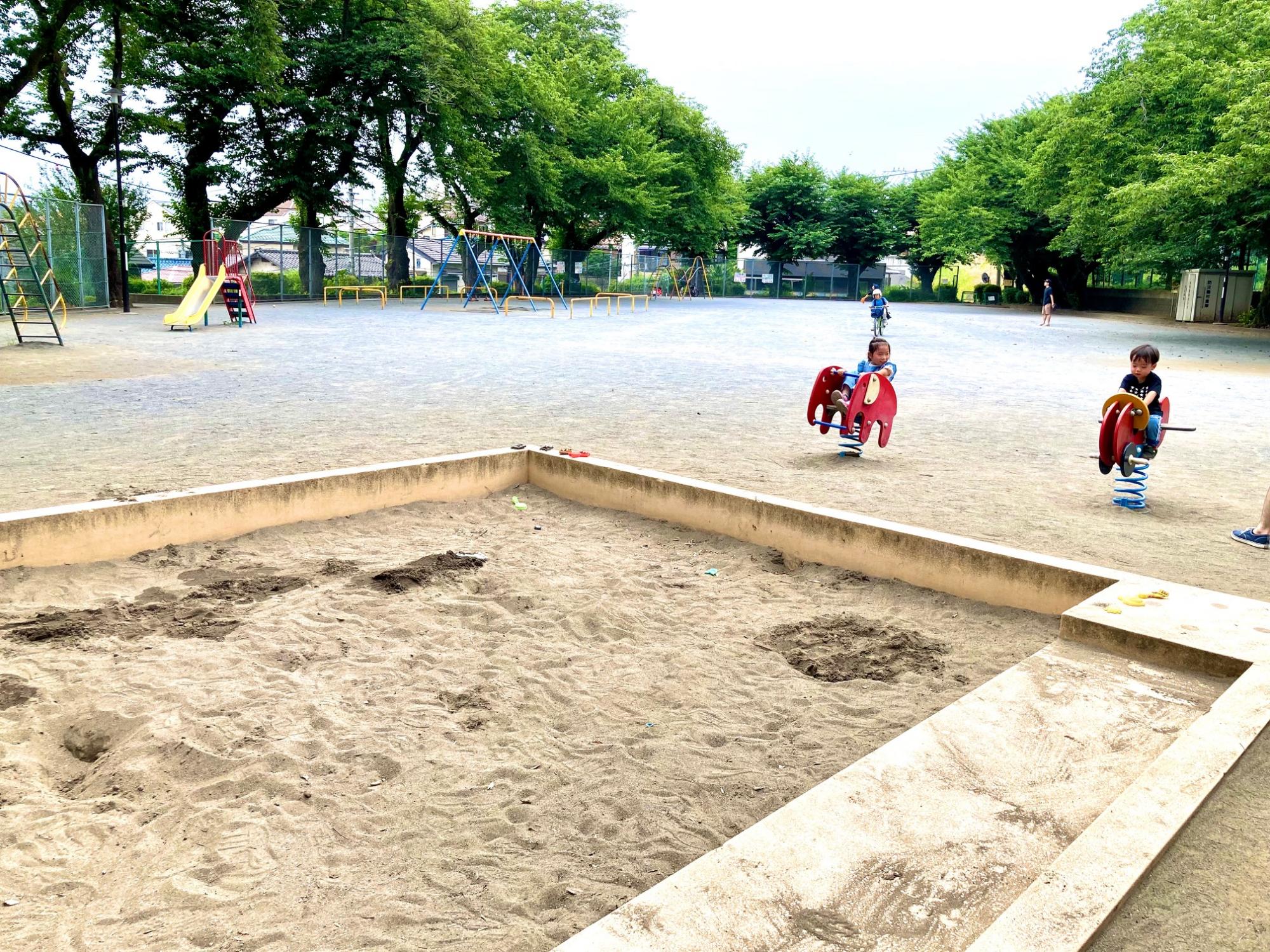 町田中央公園（サン町田旭体育館）