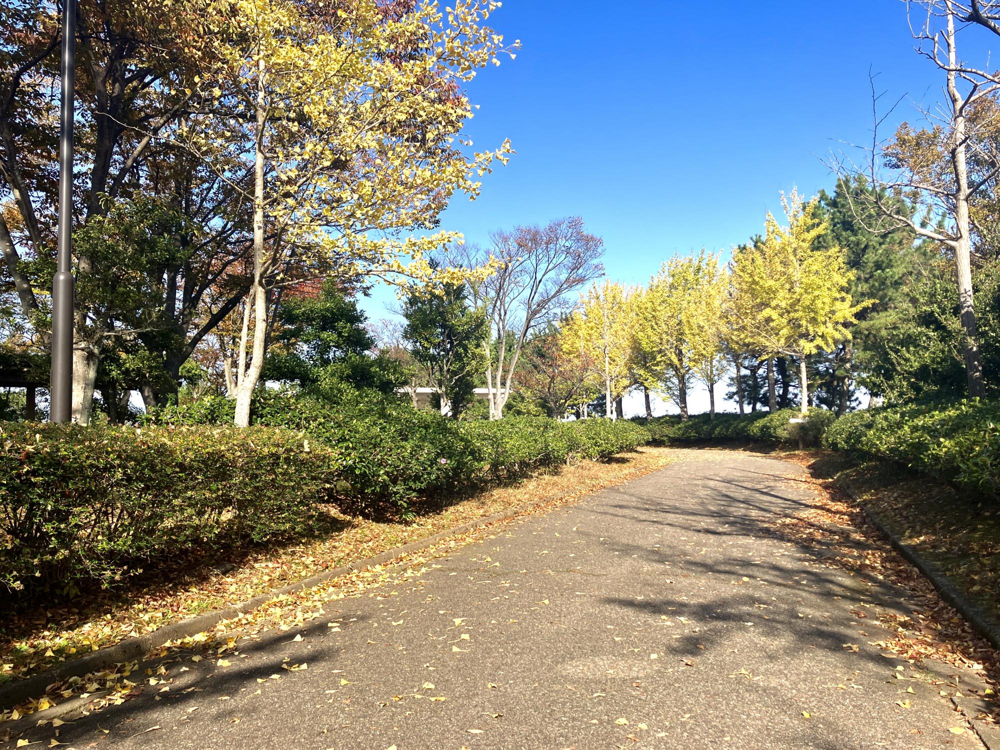 末広緑地