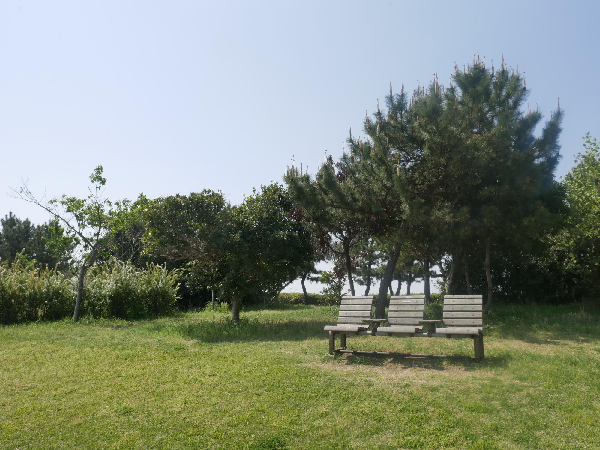 月見ヶ丘海浜公園