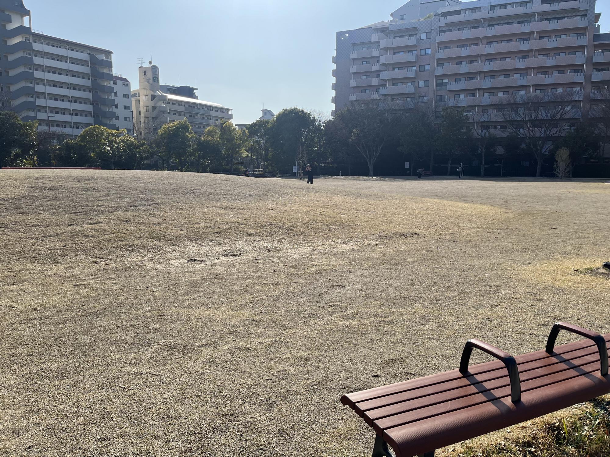 百道中央公園