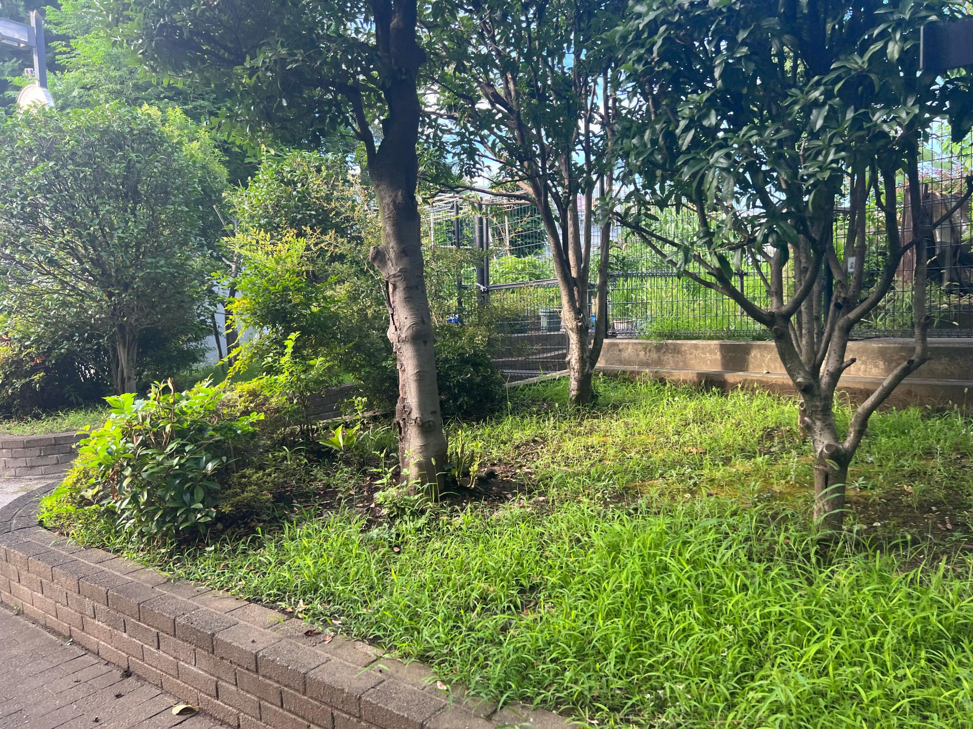 北区立上十条五丁目東緑地