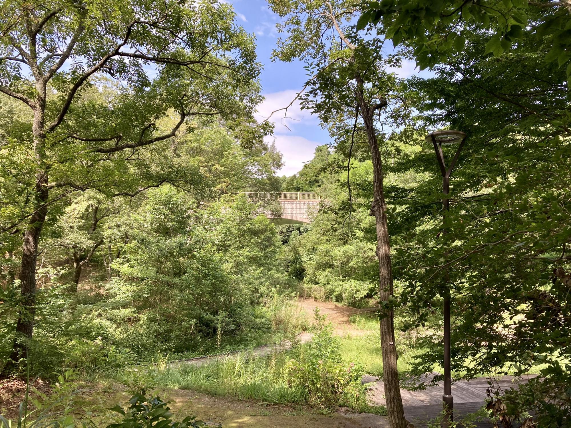 百合が丘公園・百合が丘北街区公園