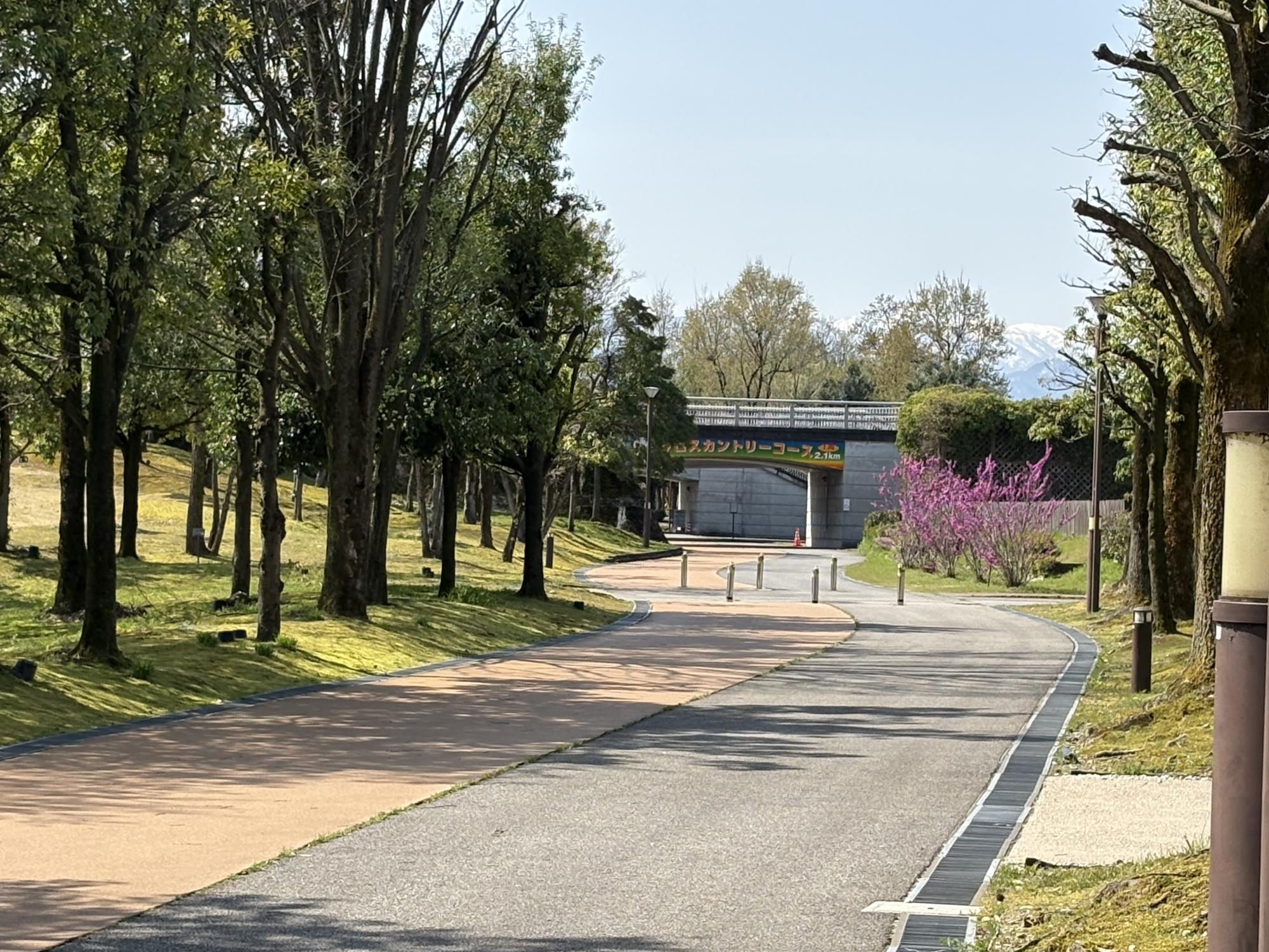 富山県総合運動公園