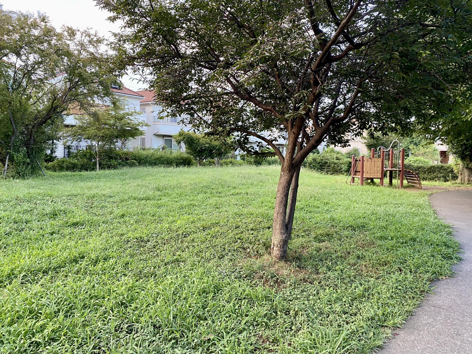 花小金井ふれあい第1公園