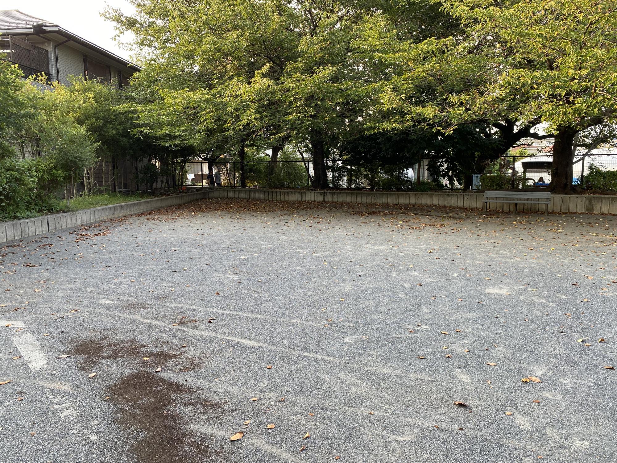 天神さくらそう公園