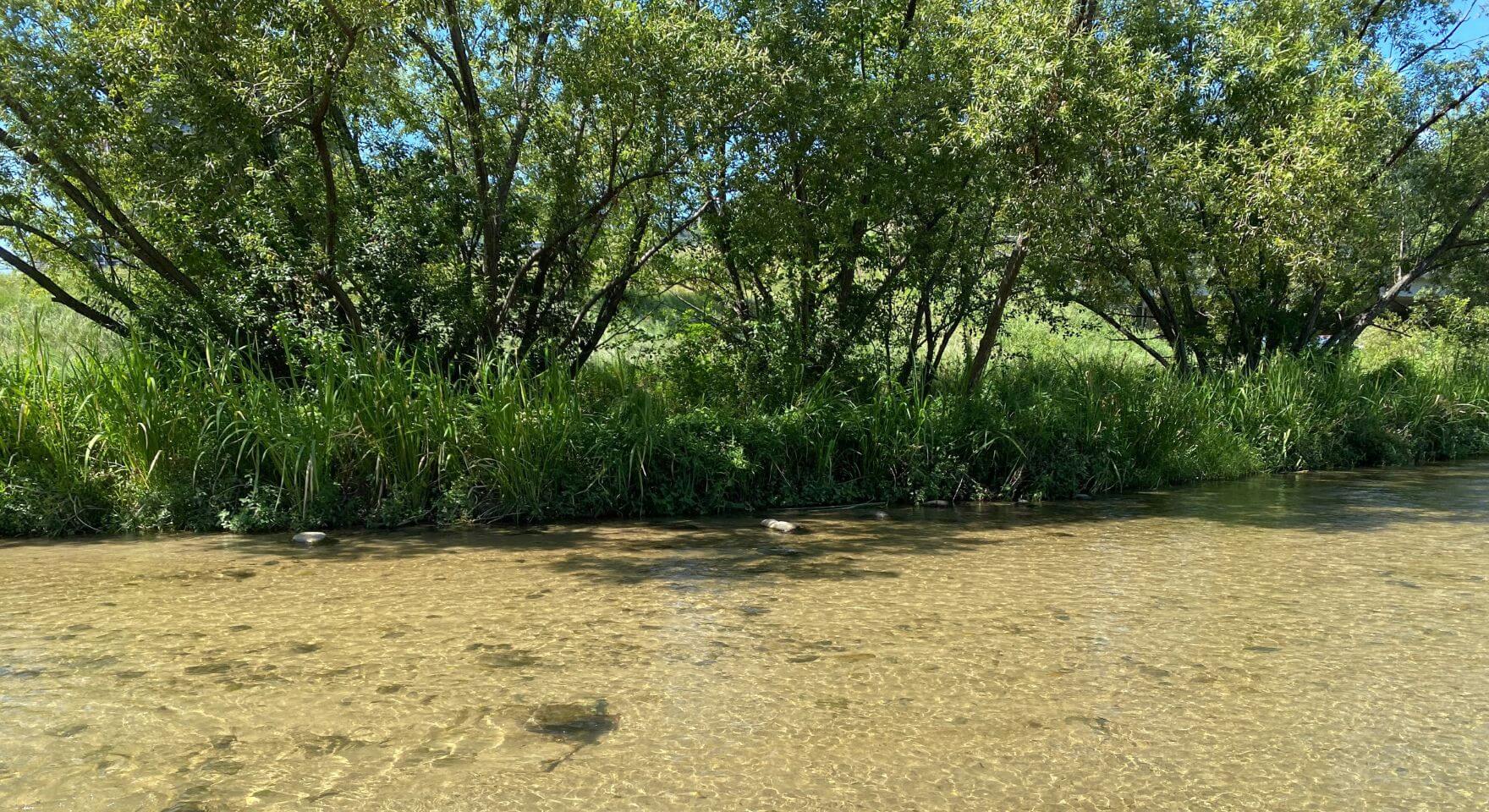 川内第一公園