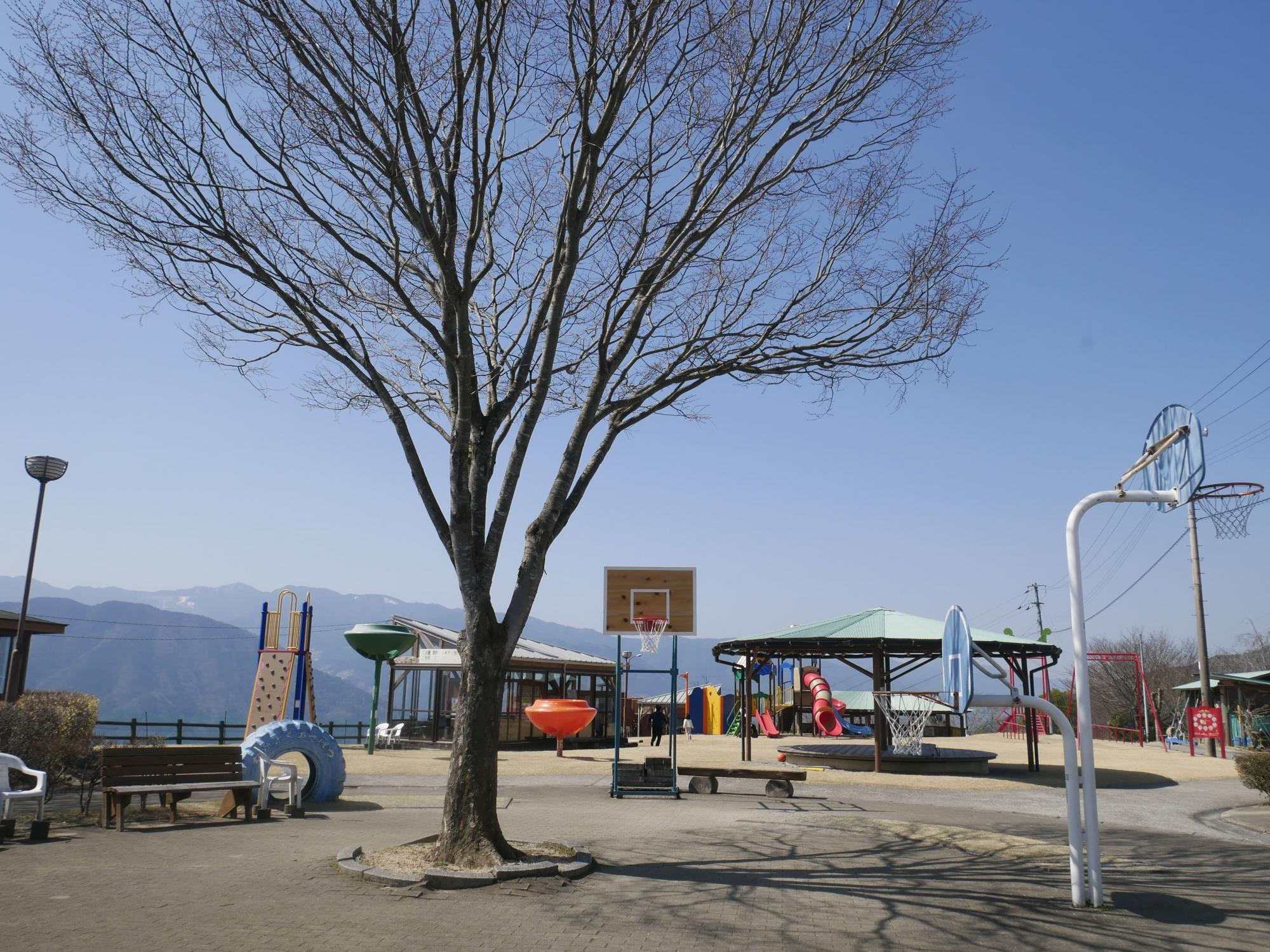 三好市健康とふれあいの森