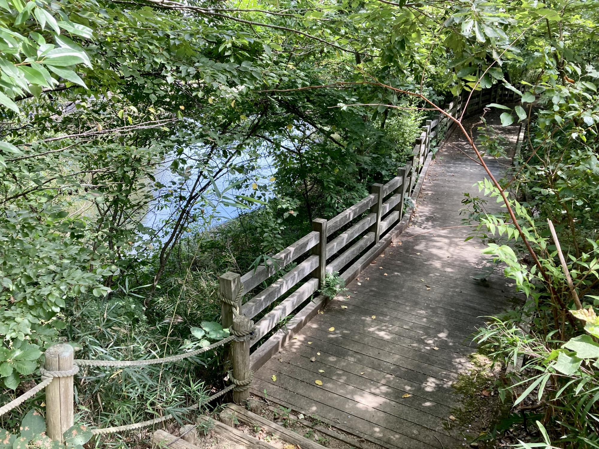 百合が丘公園・百合が丘北街区公園