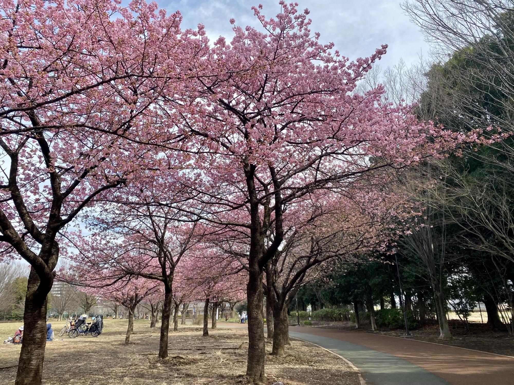 西東京いこいの森公園