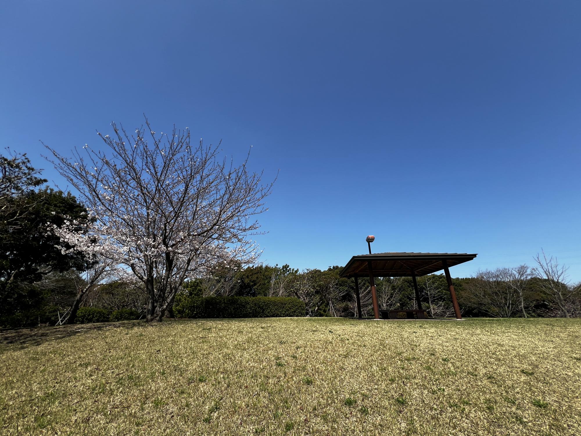高洲太陽の丘公園