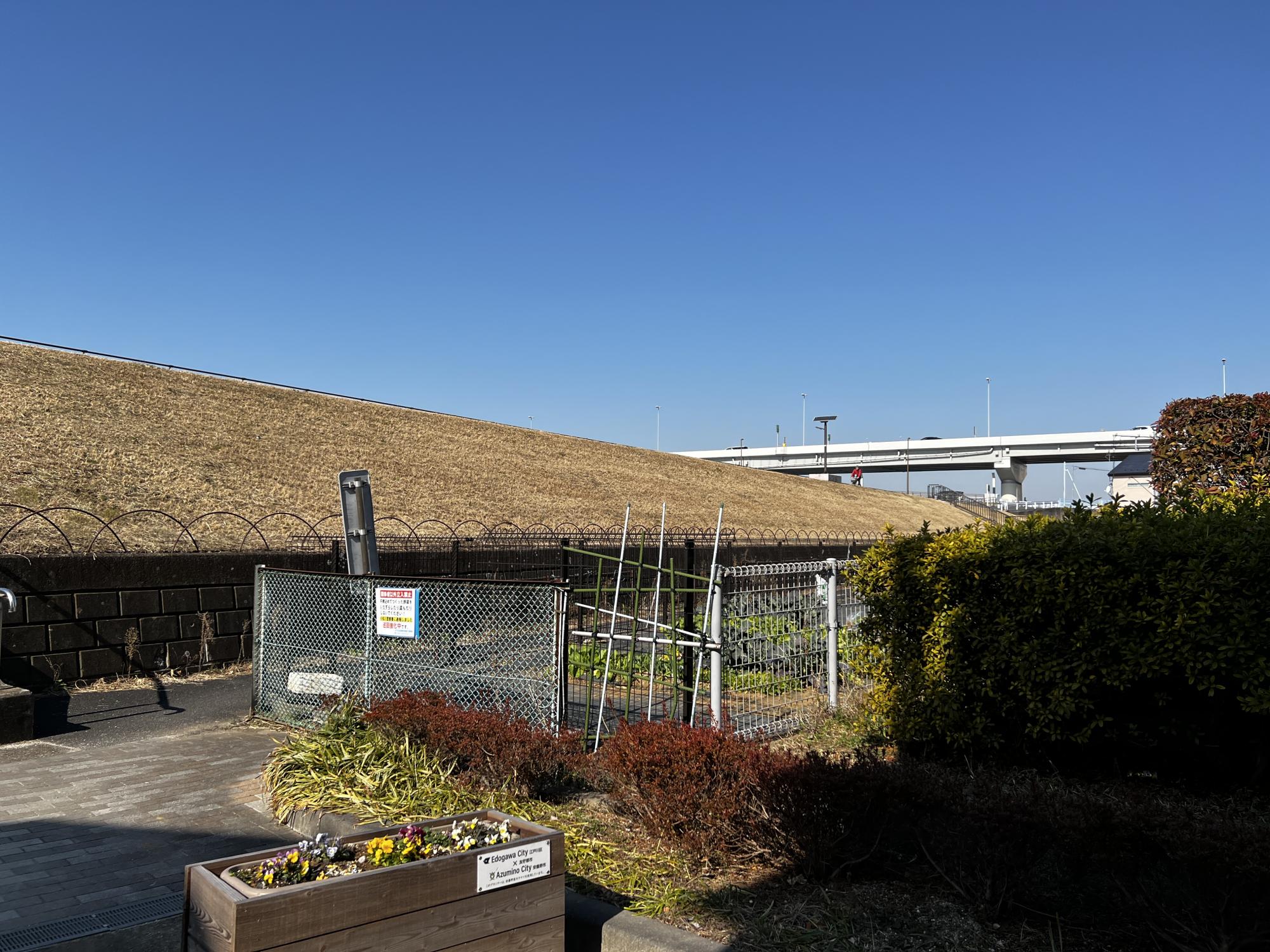 第八水上児童遊園