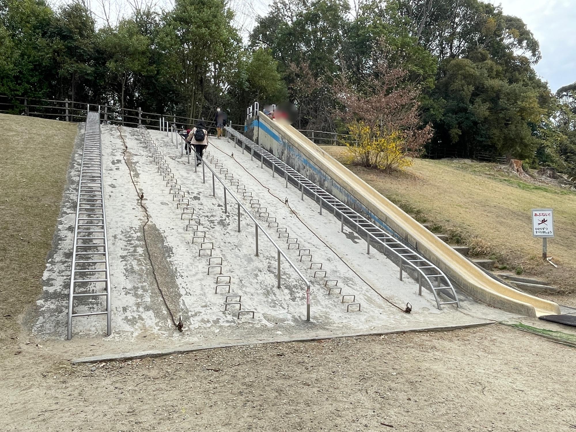 愛知森林公園
