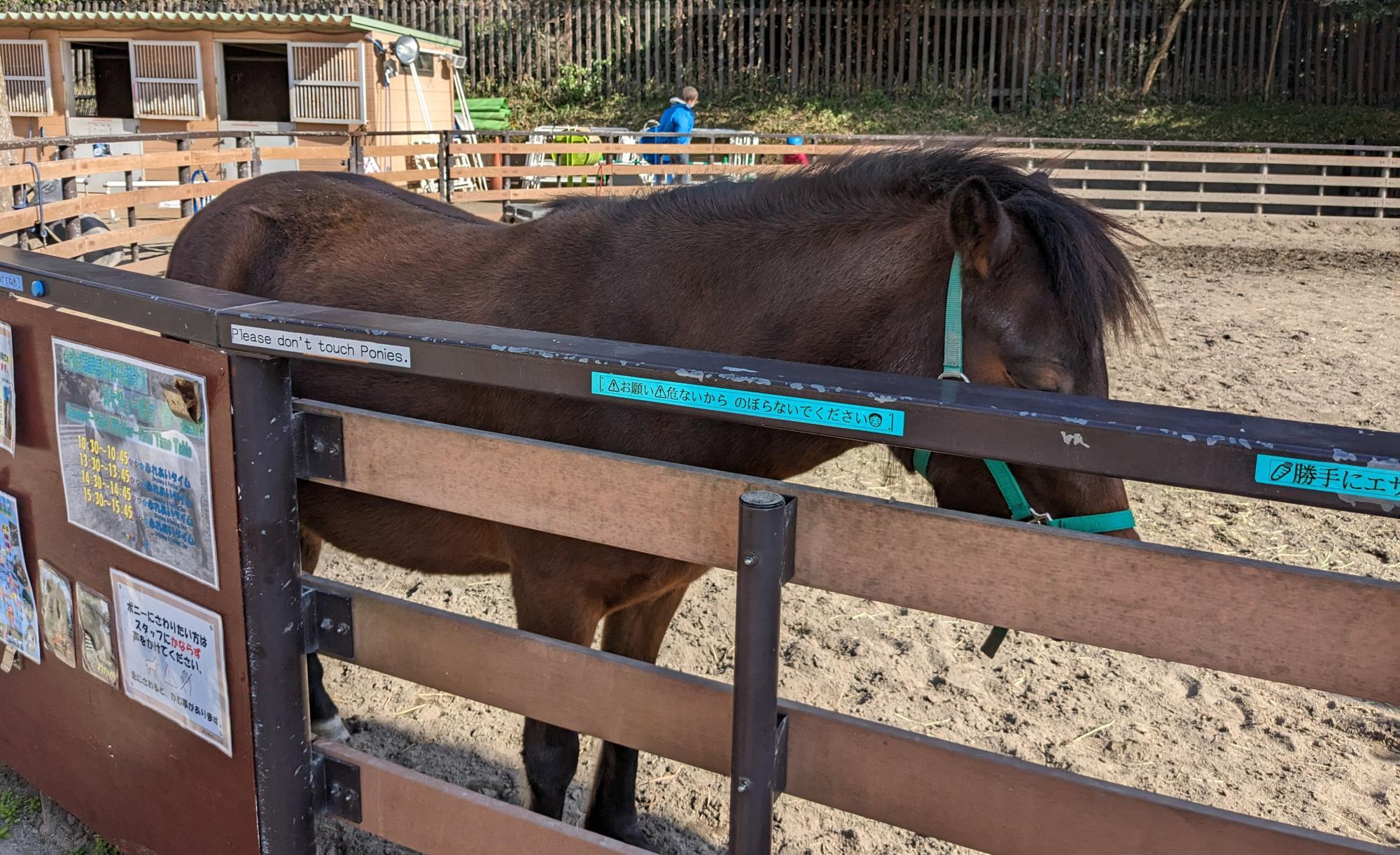 代々木ポニー公園
