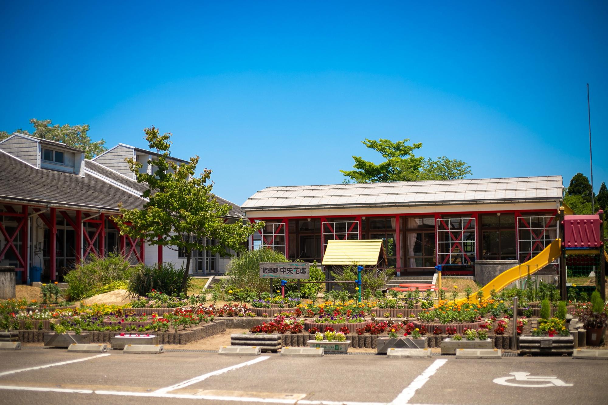 富山森のこども園