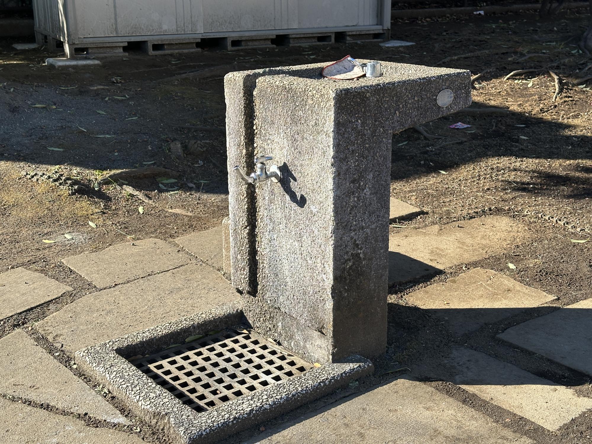 桜並木ほおずき公園