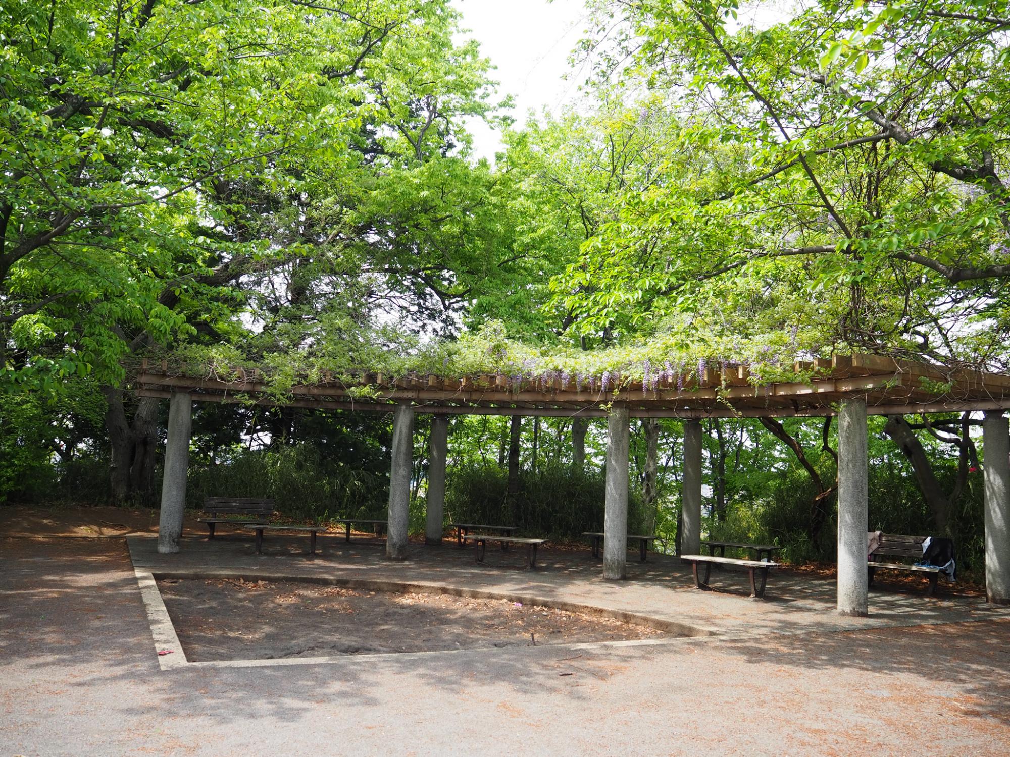 綱島公園