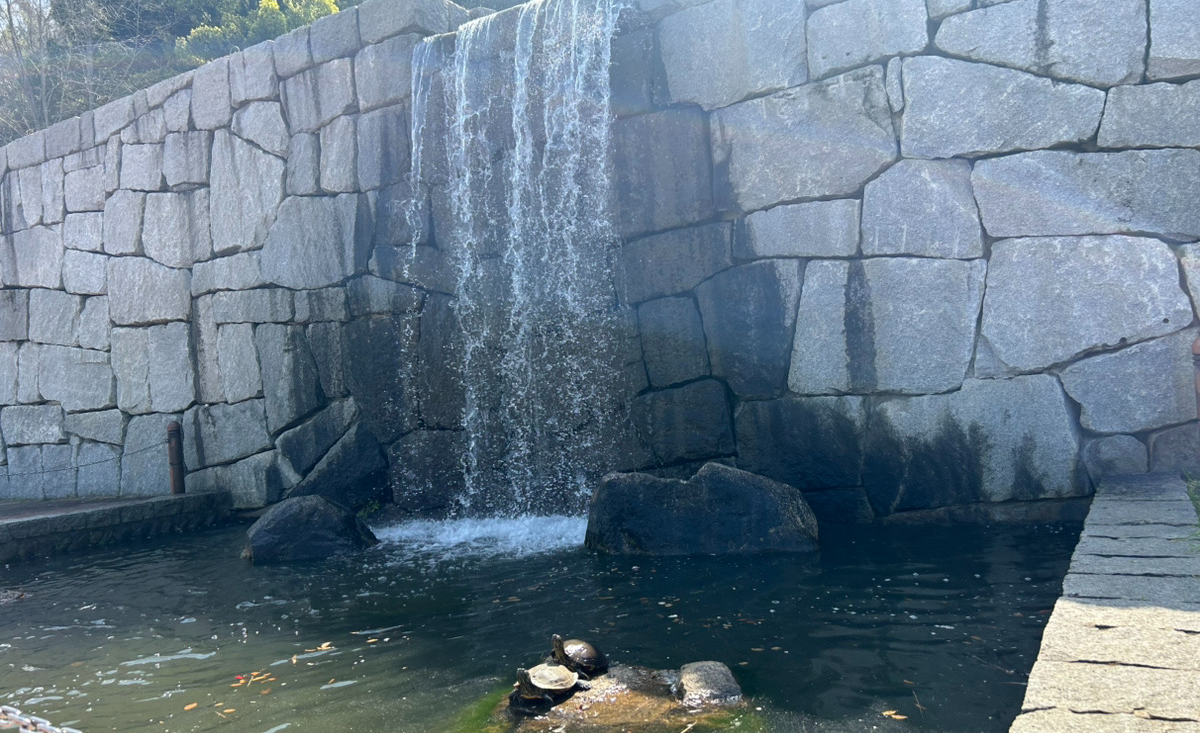 藤山健康文化公園