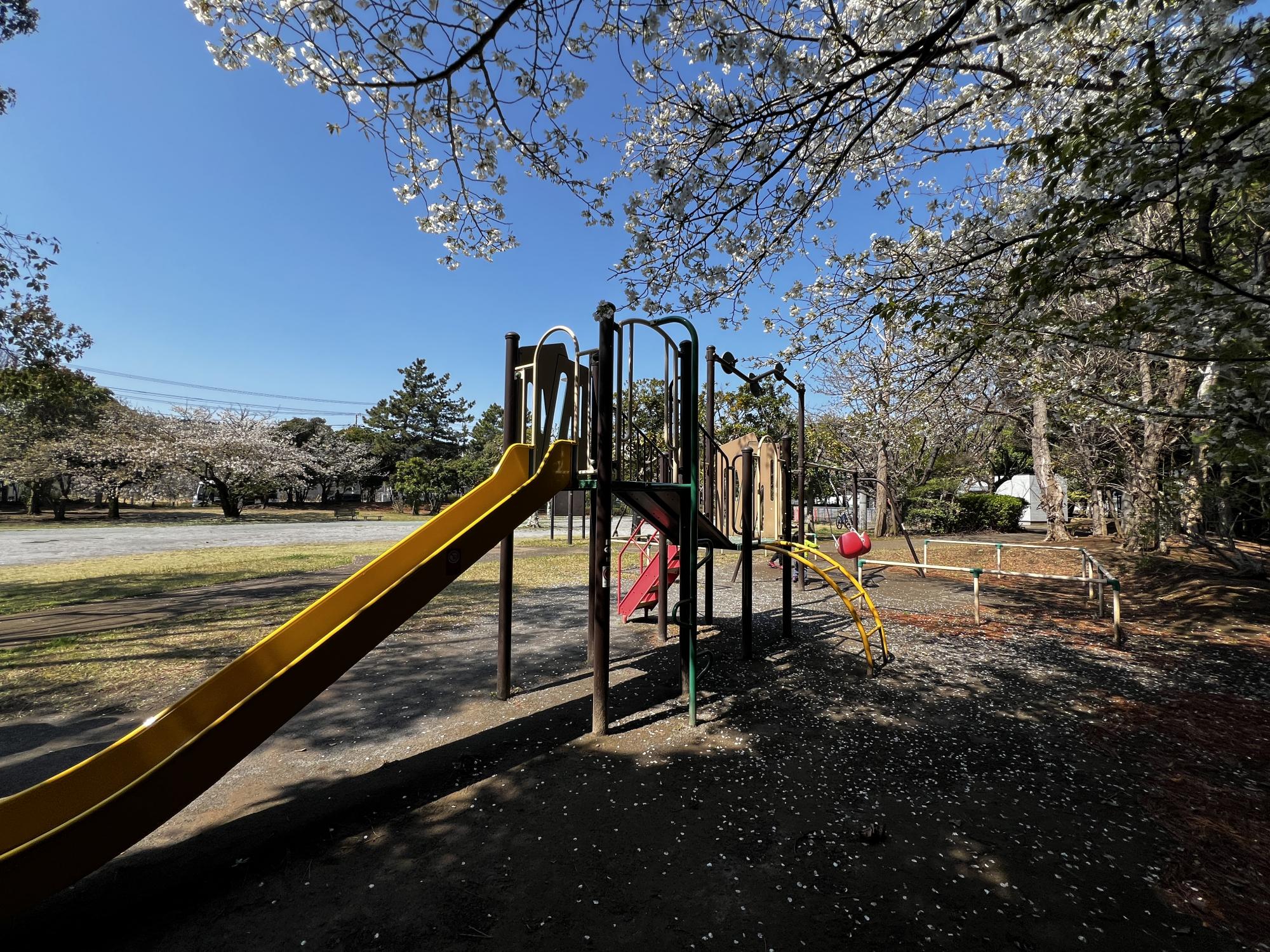 今川トリム公園