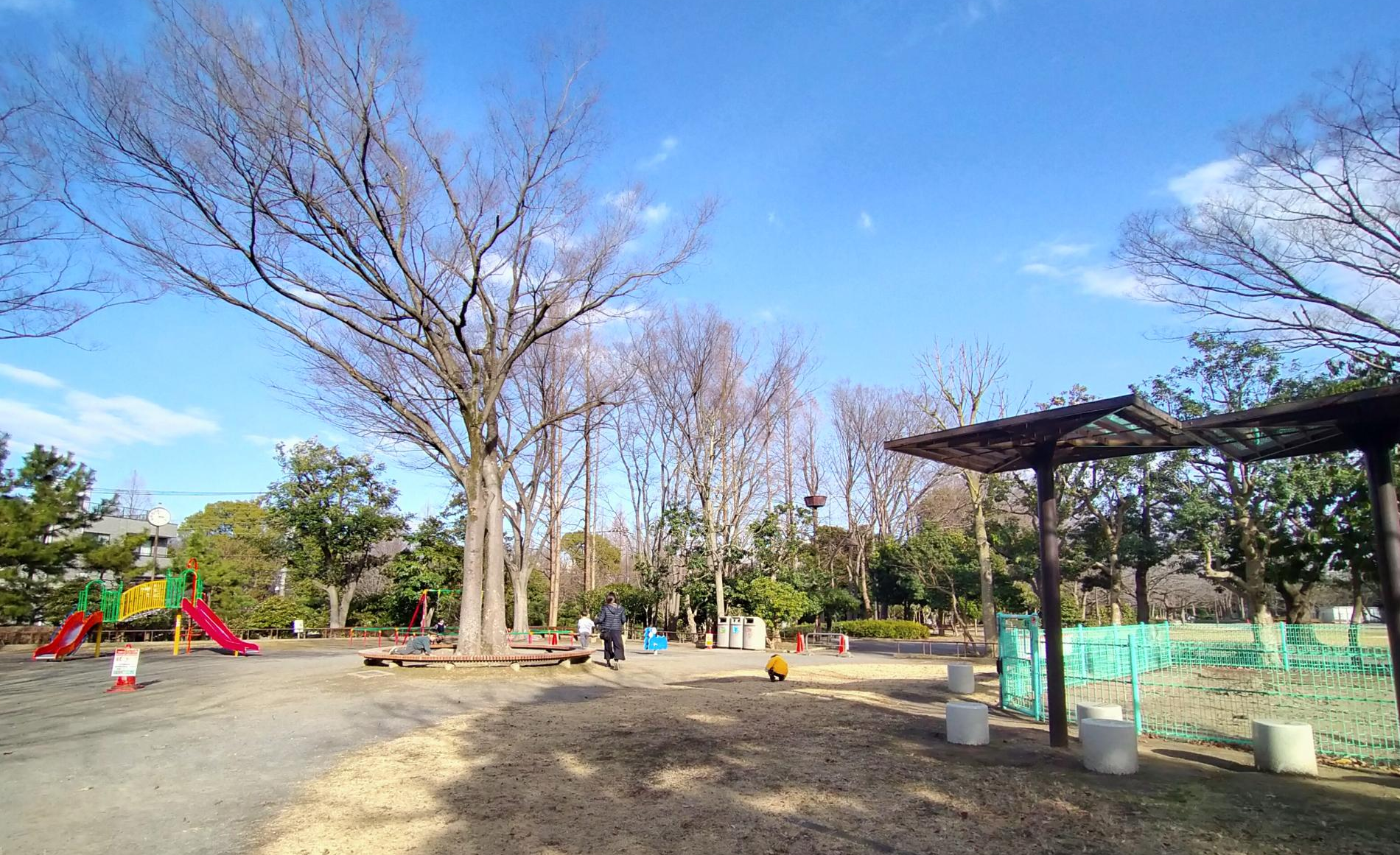 亀戸中央公園