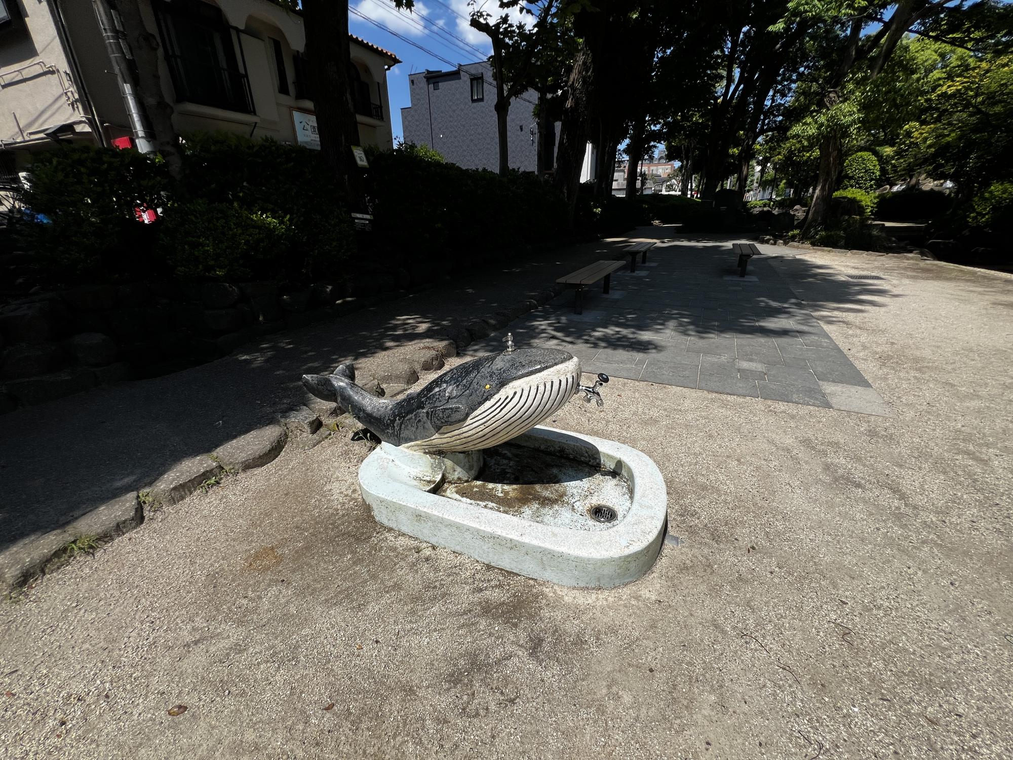 小松川境川親水公園