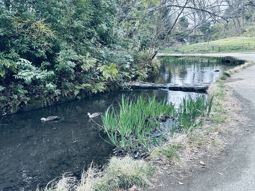せせらぎ公園
