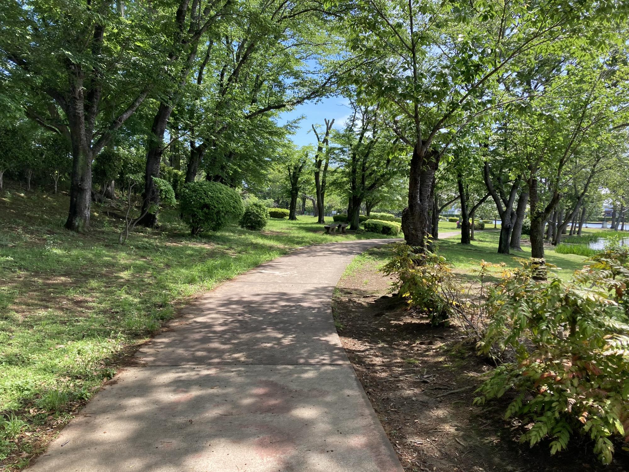 大塚池公園